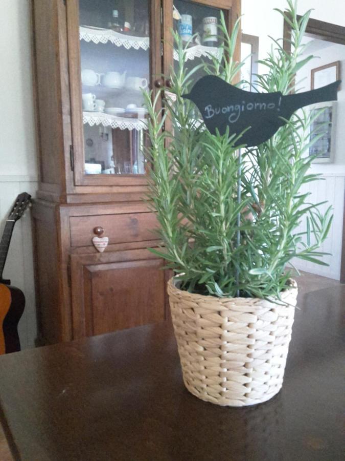 Agriturismo Cioccoleta ออร์เวียโต ภายนอก รูปภาพ