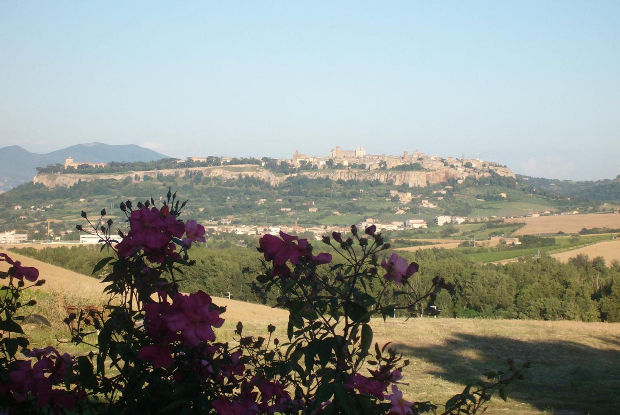 Agriturismo Cioccoleta ออร์เวียโต ภายนอก รูปภาพ