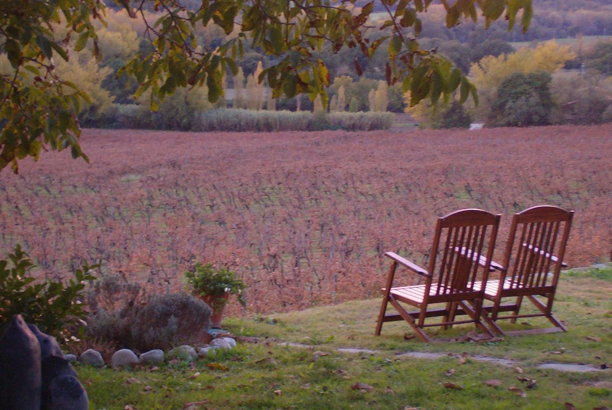 Agriturismo Cioccoleta ออร์เวียโต ภายนอก รูปภาพ
